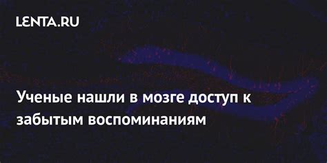 Путь к забытым воспоминаниям