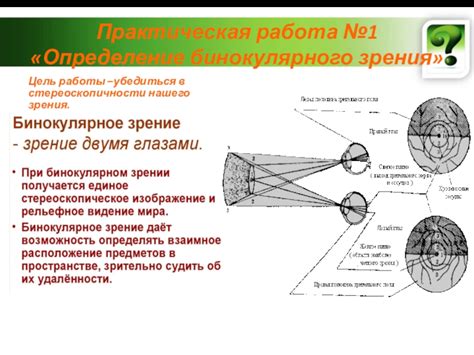 Работа нашего зрения