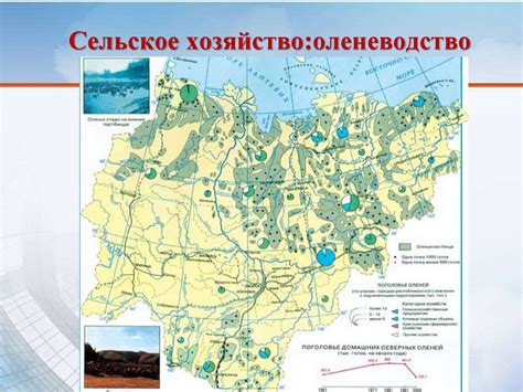 Раздел 3: Влияние географического положения на снегопады