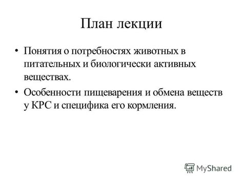 Различия в потребностях в питательных веществах у хомяков и кроликов