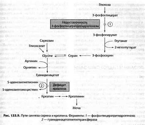 Разложение креатина в молочной среде