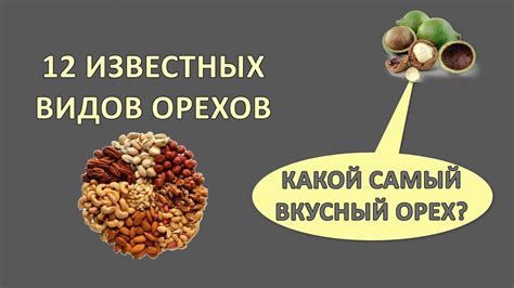 Разновидности орехов, полезные для кормящей мамы