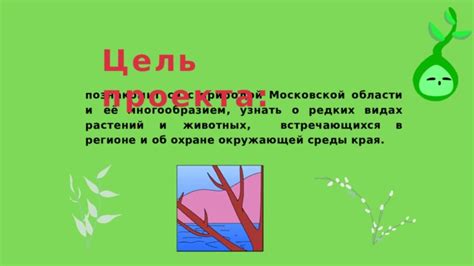 Разнообразие оленьих видов, встречающихся в Московской области