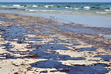 Разрушение природного равновесия в морской среде