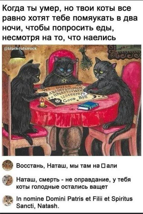 Раскрашивание книжек о котиках