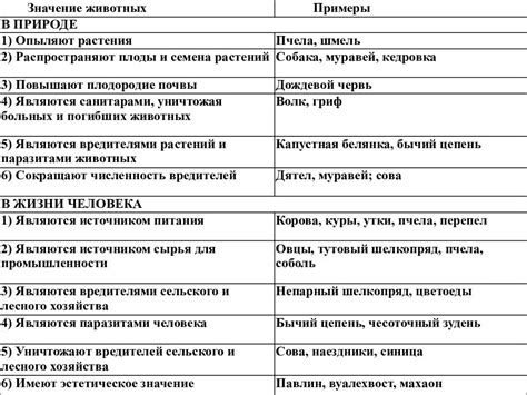 Рассвет и его значение для животного и растительного мира