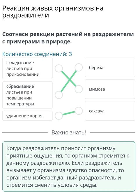 Реакция на микроскопические раздражители в носках