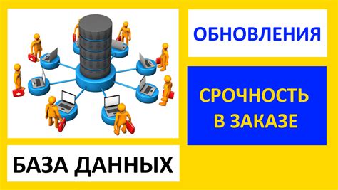 Регулярность обновления базы данных