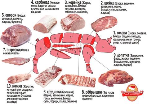 Режим питания котов и использование свинины