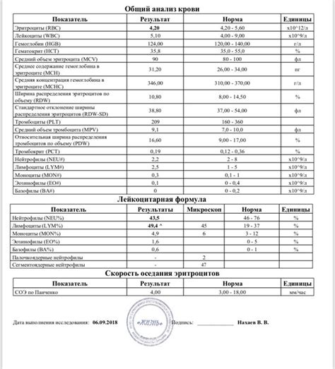 Результаты анализа крови и их значимость для гипертоников