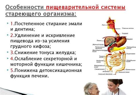 Рекомендации по приему железа и магния