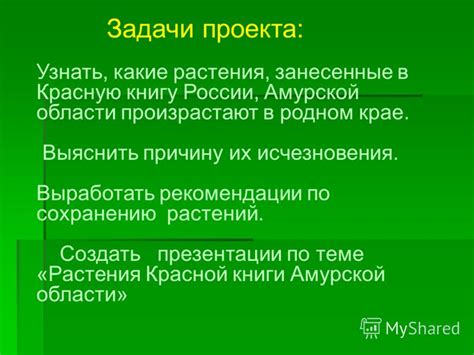 Рекомендации по сохранению жизнеспособности растения