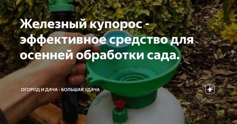 Рекомендуемые дозировки железного купороса для полива