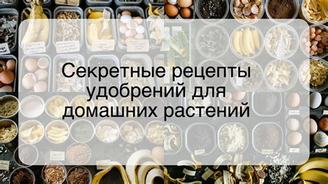 Рецепты удобрений с использованием шлака