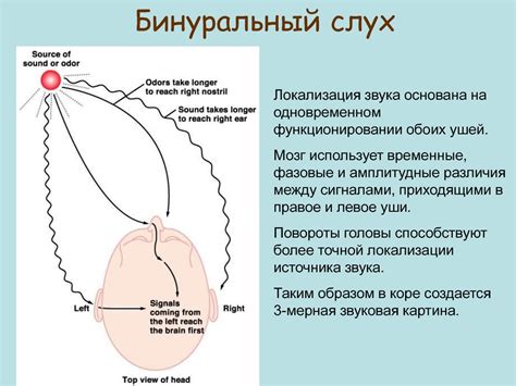 Рецепция и реакция