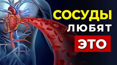 Риск для сердечно-сосудистой системы: