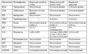 Роль аскорбиновой кислоты в обеспечении здорового сна