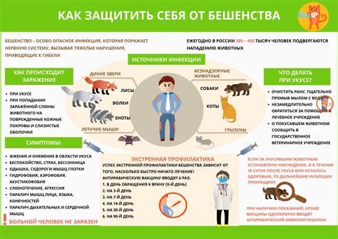 Роль вакцинации в профилактике бешенства