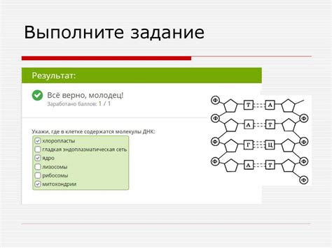 Роль генетического материала