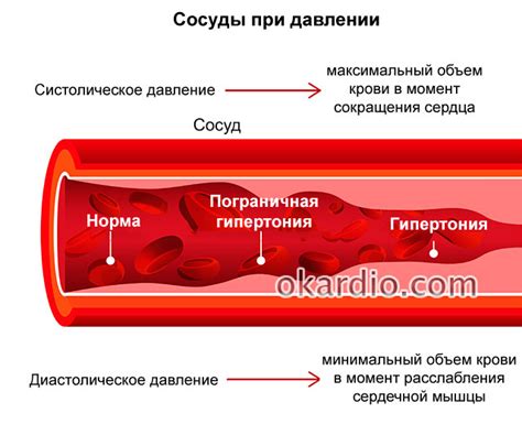 Роль крови в функционировании организма при гипертонии