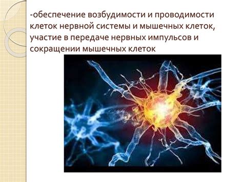 Роль нервных клеток в передаче нервных импульсов у лягушек