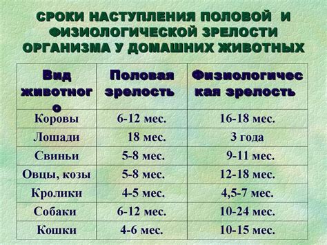 Роль питания в развитии половой зрелости у крыс