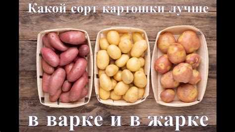 Роль соли в варке картошки