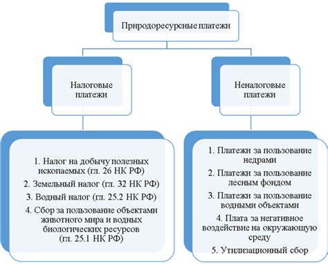 Роль физического лица в налоговой системе