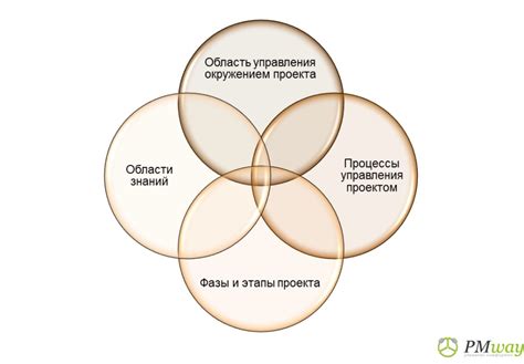 Руководство собственными научными проектами