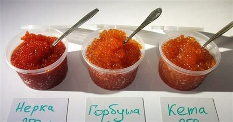 Сезонный вылов красной икры