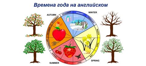 Сезоны года и их особенности