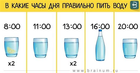 Секреты питья воды для снижения аппетита