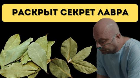 Секрет холодца: нужен ли лавровый лист?