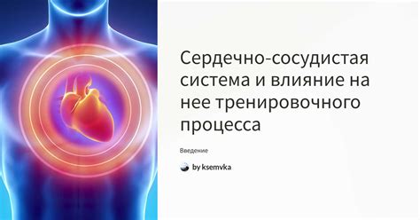 Сердечно-сосудистая система и влияние Новигана на нее