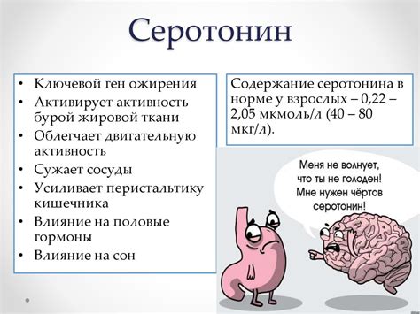 Серотонин и настроение: прямая связь или миф?