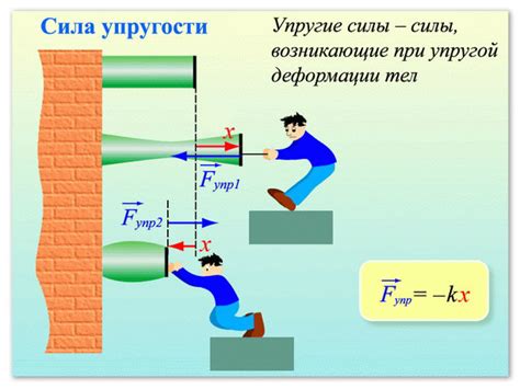 Сила упругости: понятие и принципы действия