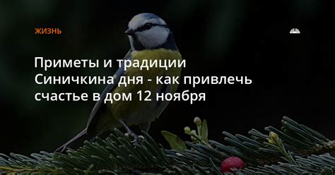 Символика и значения Синичкина дня