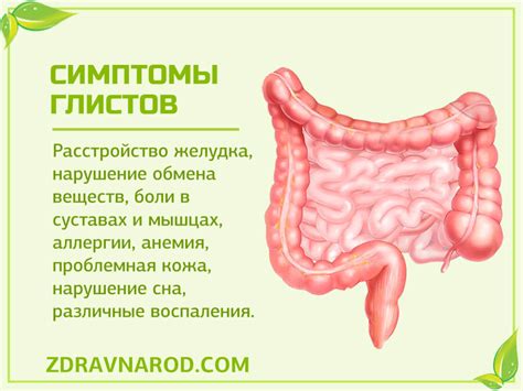 Симптомы глистов в горле