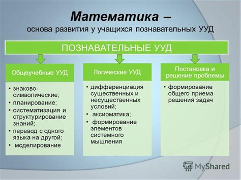 Систематизация и структурирование действий