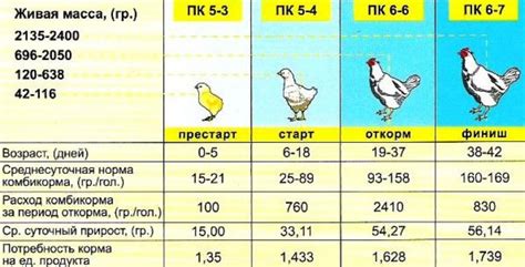 Сколько ждать несения бройлеров