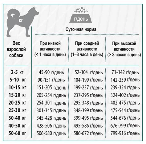 Сколько месяцев давать сухой корм?