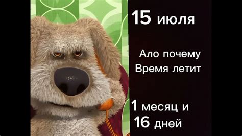 Сколько осталось дней до 12 января?