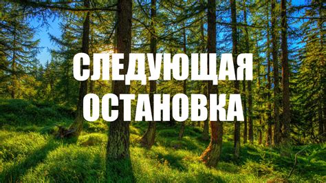 Следующая остановка