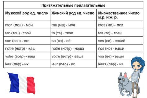 Словосочетания с "перевод на французский" на французском языке