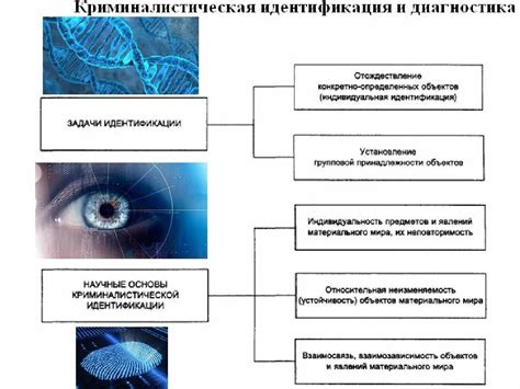 Сложности идентификации в криминалистике