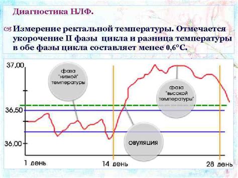 Снижение температуры и укорочение дней