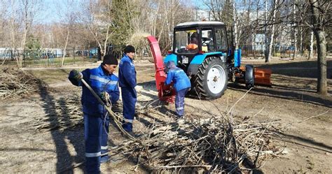 Собрать и утилизировать листву