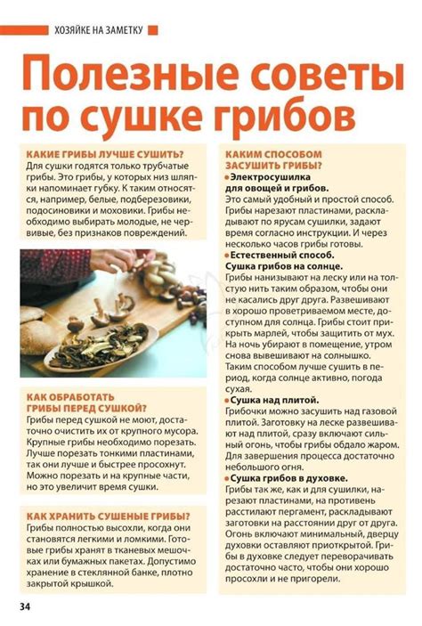 Советы по использованию электродуховки при сушке грибов