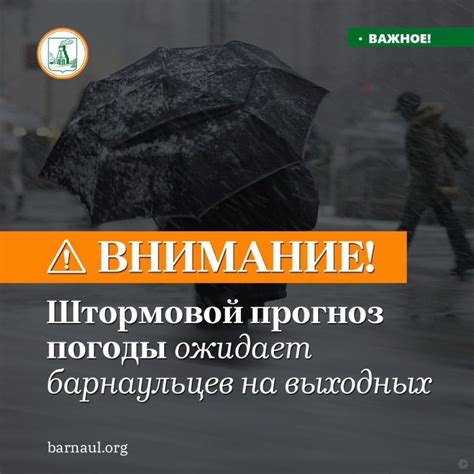 Советы по поведению во время сильного ветра