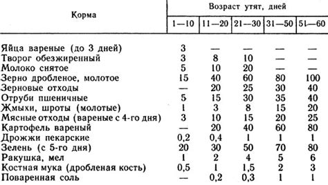 Составление рациона для новорожденного: что о нем известно?